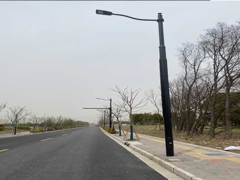 新抚区上海综合杆 太阳能路灯工程